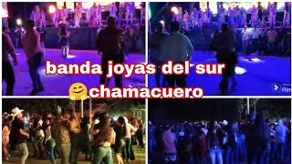 banda joyas del sur👏 chamacuero [upl. by Haiacim851]