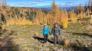 Golden Larches on Mount Frosty 10052023 [upl. by Frum982]