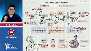 Leche y lactancia materna PEDIATRÍA Índice en descripción ENAM QXMEDIC 2023 [upl. by Nomzzaj]