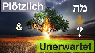 Der schnelle Tod in der letzten Generation – wie die Tora mit der Sintflut das Sterben neu benennt [upl. by Bob729]