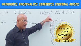 Difference Between Meningitis  Encephalitis  Cerebritis  Cerebral Abscess🩺 [upl. by Retxab768]