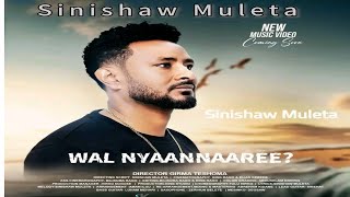 Sinishaw Muleta New Oromic music reaction 2024sinishaworomic new video [upl. by Acinorav]