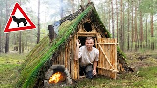 Wir bauen einen SURVIVAL SHELTER im WOLFSGEBIET [upl. by Sibbie553]