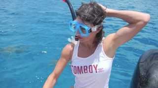 Sharks  T Dinwiddie  TomboyX In Tahiti [upl. by Norga]