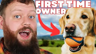 THE BEST DOG BREED FOR FIRST TIME OWNERS [upl. by Eillen]