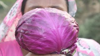 Village Food Farm Fresh Red Cabbage Recipe Village Style Fresh Purple Cabbage amp Chicken Curry [upl. by Quirita666]