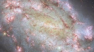 Pan NGC 1559 [upl. by Fauver]