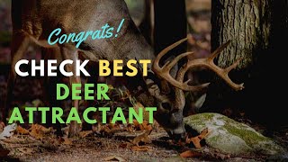 Best Deer Attractants of 2020 – Complete Reviews amp Buyers Guide [upl. by Ennylcaj]