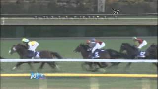 2012 Japan Cup ジャパンカップ [upl. by Ragnar808]