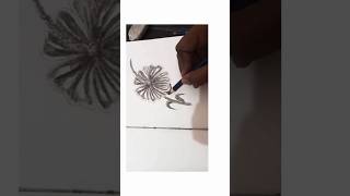 How to draw Hibiscus flower drawing drawing newvideo shorts [upl. by Sitnerp]