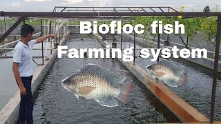 Biofloc Farming  Ghar Me 1 Fish Tank Se 5 Acre Fish Farm Jitna Profit Hasil Karen Punjab Agri Farm [upl. by Monreal367]