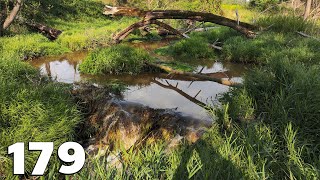 Beaver Dam Removal With Excavator No179 [upl. by Notsirhc]