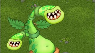 Crazy Potbelly My singing monsters [upl. by Aliled]