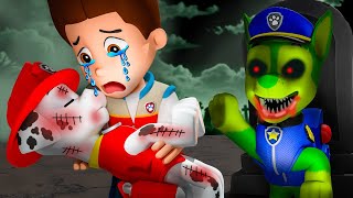 Goodbye Marshall  what happened to Marshall  Sad Story  Paw Patrol 3D Animation [upl. by Aihsela]