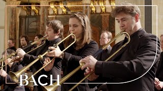 Bach  Sinfonia from Cantata BWV 29  Netherlands Bach Society [upl. by Radmilla]