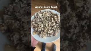 Halloumi and mince risotto animalbased [upl. by Aicia]