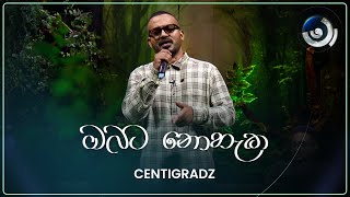 Obata Nohaka ඔබට නොහැක  CENTIGRADZ  Maa මා  TV Derana [upl. by Ydwor]