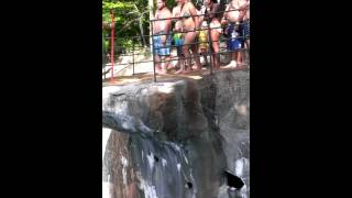 25 foot cliff jump at Action Park Mountain Creek [upl. by Maxa]