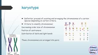 Diploid and haploid cells  karyotypes  Grade 12 LS911S [upl. by Lundell]