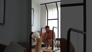 CatApproved MuscleUp  home workout muscleup homeworkout [upl. by Huba]