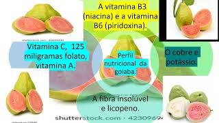 PERFIL NUTRICIONAL DA GOIABA [upl. by Justis]