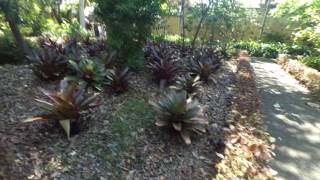 Botanical Gardens Jardin Botanico Puerto de la Cruz Tenerife 2016 [upl. by Gibeon]