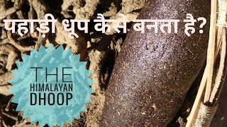 Himalayan Guggul Dhoop  पहाड़ी धूप कैसे बनता है  Making of desi Pahadi dhoop in 2 minutes [upl. by Pearl379]