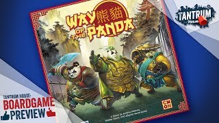 Way of the Panda Board Game Review [upl. by Hsivat]