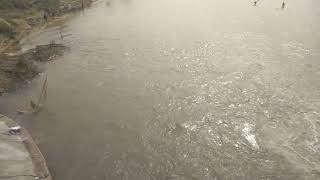 catching fish in the river বাংলা পাঠ [upl. by Redle]