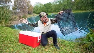 Trapping WILD Baitfish to FEED Pet Bass chicken liver [upl. by Ailicec]