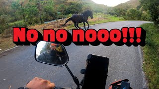 Me ATACA 💀 un CABALLO 🐴🤯  Ruta a CHACHAPOYAS en Moto 🛵 TEM 2 EP 4 [upl. by Idnod]