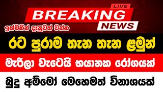 derana news today live  ada derana news today live now  SRI LANKA TODY  hiru tv today sri lanka [upl. by Alad]