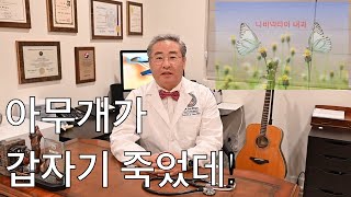 저승사자 폐색전증 Pulmonary Embolism [upl. by Delores]