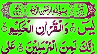 surah Yaseen Yasin HD Urdu Translation Yasin Sharif HD surah Yaseen ki tilawat [upl. by Yonit]