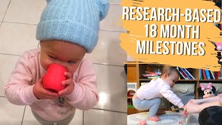 18 MONTH TODDLER DEVELOPMENT MILESTONES  Using Ages and StagesASQ3 to Measure Growth amp Activities [upl. by Gahan]