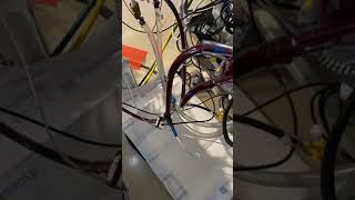 ECLS circuit videos circuit chugging [upl. by Lanrev259]