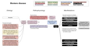 Meniere disease mechanism of disease [upl. by Silrak]