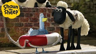 Shaun the Sheep 🐑 The Ice Bath 🥶🧼 Full Episodes Compilation 1 hour [upl. by Nilyac]