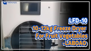 LFD9 1012kg Freeze Dryer For Fruit Vegetables  LABOAO [upl. by Yllus]