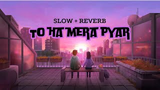 To ha mera pyar Slow  reverb songs newsong song [upl. by Fidelas]