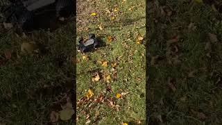 RC Car offroading automobile rccar funnymemes viralvideo viralshort shorts fypシ゚viral [upl. by Anertal]