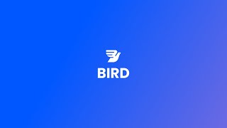 Introducing Bird — Marketing Sales and Payments CRM for modern businesses [upl. by Ahsiened]