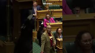 Haka Protests In New Zealand Parliament [upl. by Ahsilam285]