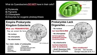 Cyanobacteria Morphology and Cell Structure [upl. by Harrad]