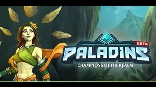 How to Fix Paladins Error MSVCR110dll 2019 [upl. by Torosian]