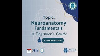 Neuroanatomy Fundamentals  A Beginners Guide [upl. by Nosreh]