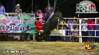 🐂EL PEDRO INFANTE VS NIÑO ENAMORADO🐂de Rancho MM PARTICIPANDO EN EL TORNEO DE IGUALAGRO2022 [upl. by Iadrahs]