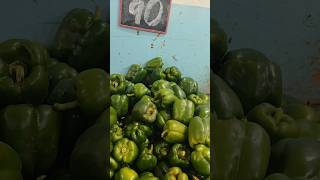 Today surprising vegetable price🤯🤑😱❤️141124Taajathindiyoutubechannel [upl. by The]