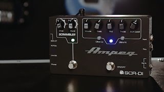 Ampeg SCRDI Bass DI Preamp with Scrambler Overdrive Pedal Demo [upl. by Cnahc]