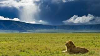 NGORONGORO CONSERVATION AREA [upl. by Nytram357]